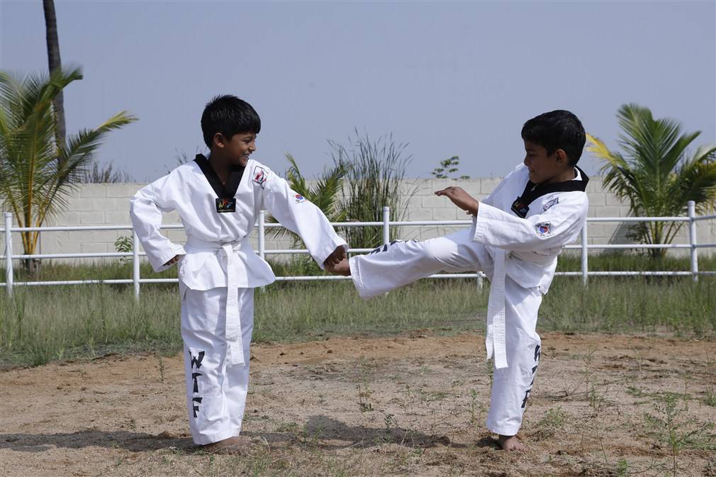 Taekwondo
