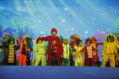 Annual Day Celebration in Gunidy - The Little Mermaid