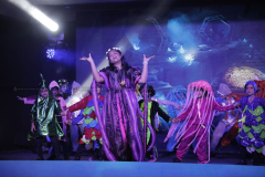 Annual Day Celebration in Gunidy - The Little Mermaid