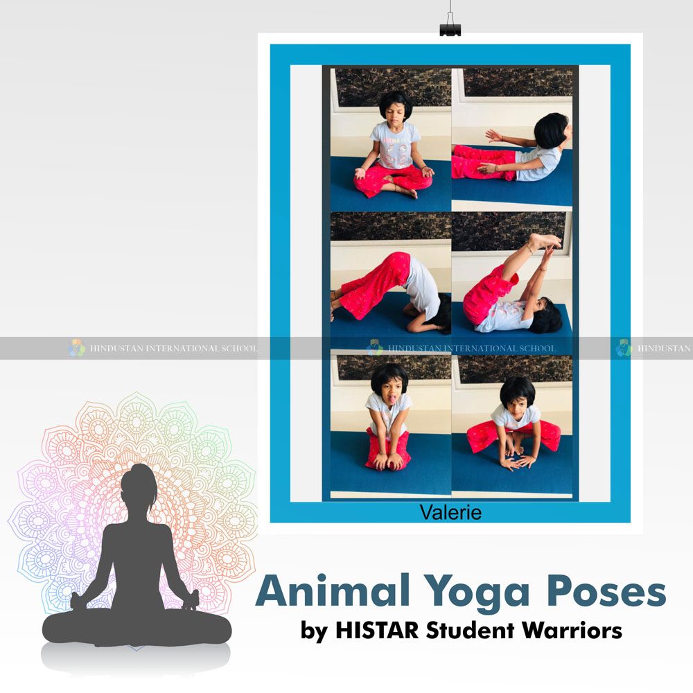 Fun Cartoon Animal Yoga Pose Isolated Stock Vector (Royalty Free) 485132749  | Shutterstock