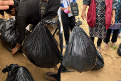 International-Coastal-clean-up-activity-8