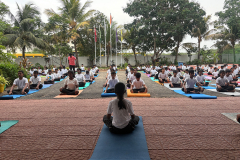 Yogo-day-2026-2