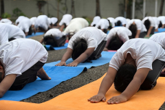 Yogo-day-2026-3