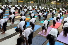 Yogo-day-2026-4