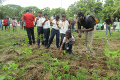 Tree Plant in Karapakkam Campus