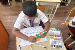 Tricolor-2026-4