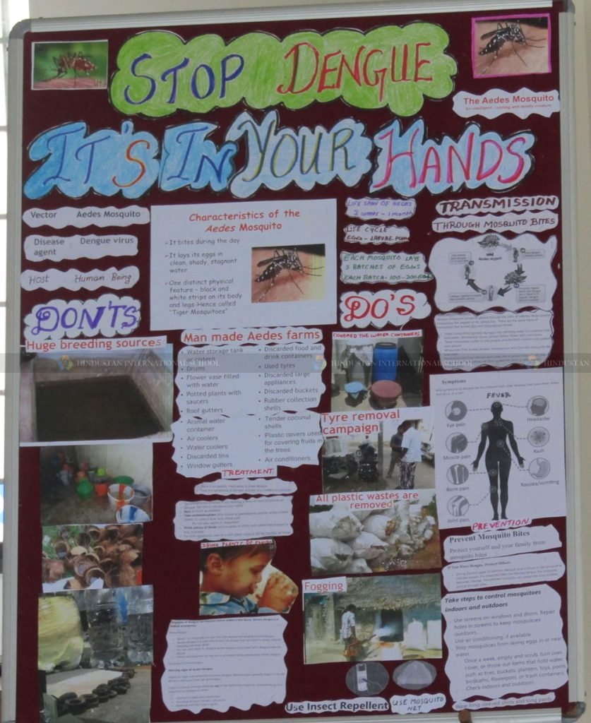 Health Awareness Programme On Dengue