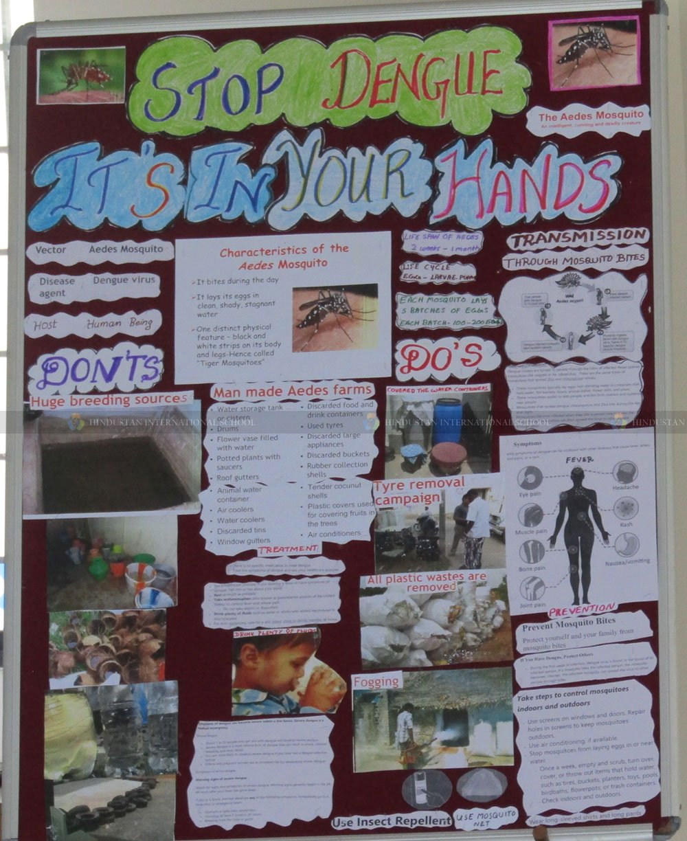 Health Awareness Programme On Dengue